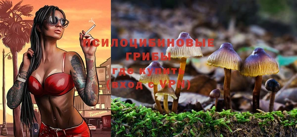 хмурый Нязепетровск