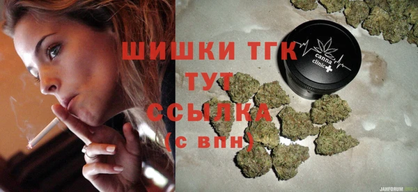 молекула духа Осинники