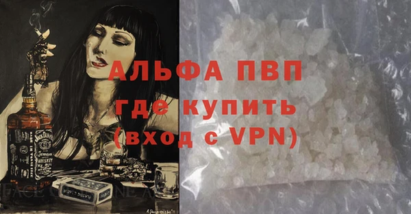 гидра Магас