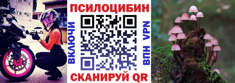 Псилоцибиновые грибы GOLDEN TEACHER  МЕГА ссылки  Бодайбо 